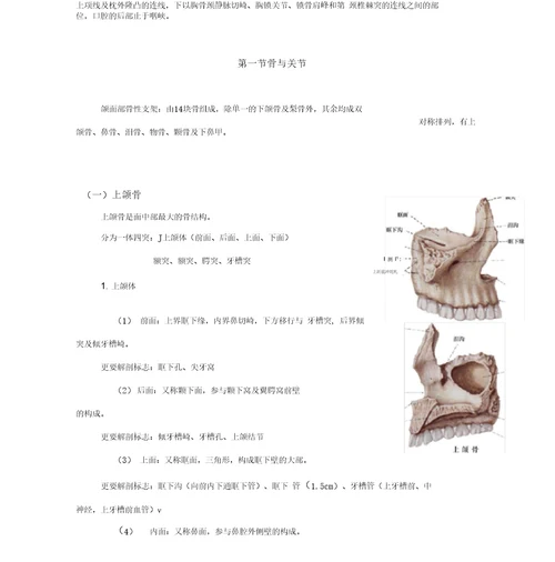 口腔、颌面部与颈部解剖骨教案新部编本