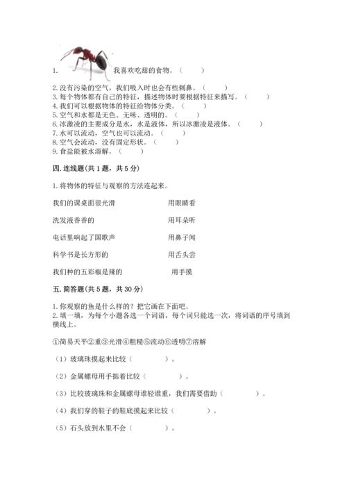 教科版一年级下册科学期末测试卷附答案【达标题】.docx