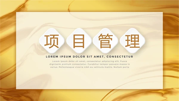 时尚微立体项目管理工作总结商务通用PPT动态模板
