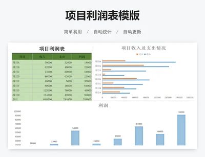 项目利润表模版