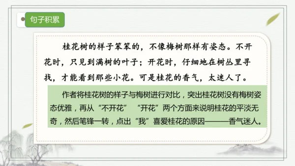 【核心考点】语文部编版 五年级上册第一单元复习 课件