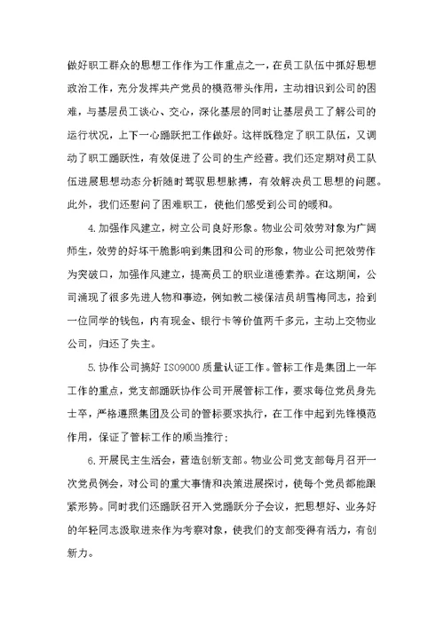 公司党支部工作总结范文