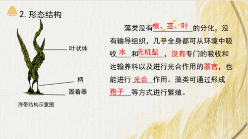 人教版（2024）七年级上册2.1.1藻类、苔藓植物和蕨类植物(共17张PPT)+视频素材