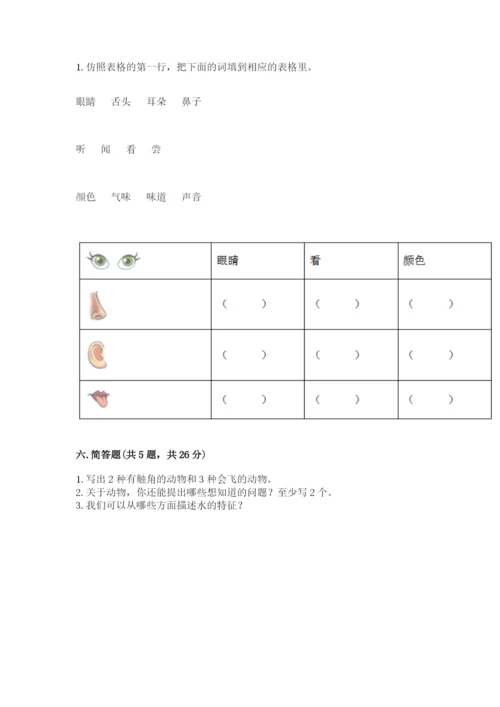 教科版小学科学一年级下册期末测试卷及完整答案【易错题】.docx