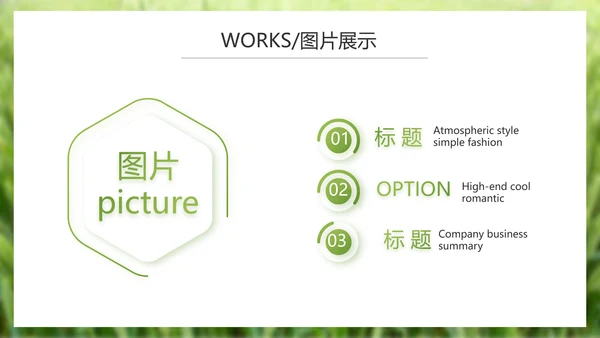 绿色农产品介绍宣传动态PPT模板