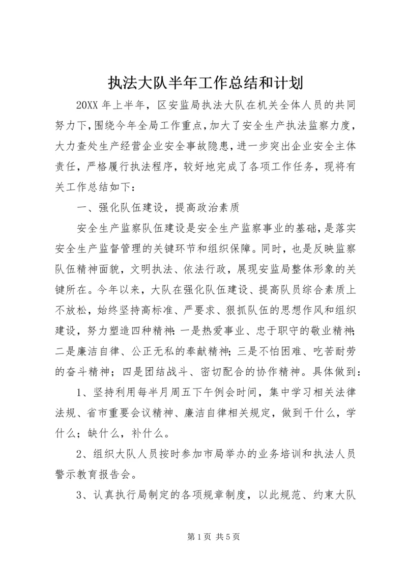 执法大队半年工作总结和计划.docx