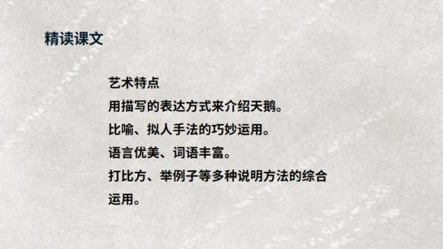 《天鹅》布丰天鹅湖通用PPT课件