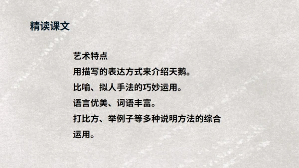 《天鹅》布丰天鹅湖通用PPT课件