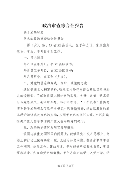 政治审查综合性报告.docx