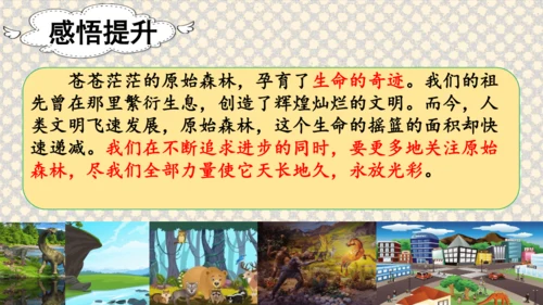 23祖先的摇篮（课件）