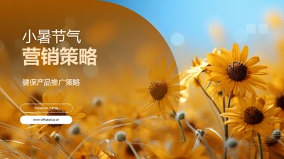 小暑节气营销策略