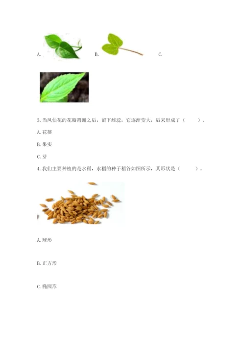 教科版科学四年级下册第一单元《植物的生长变化》测试卷附答案【实用】.docx