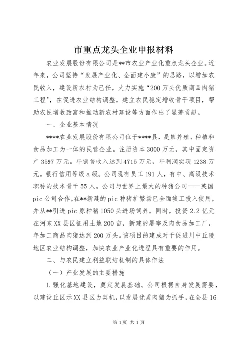 市重点龙头企业申报材料 (2).docx