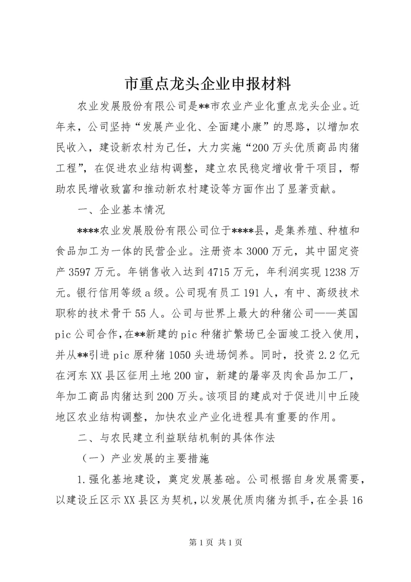 市重点龙头企业申报材料 (2).docx