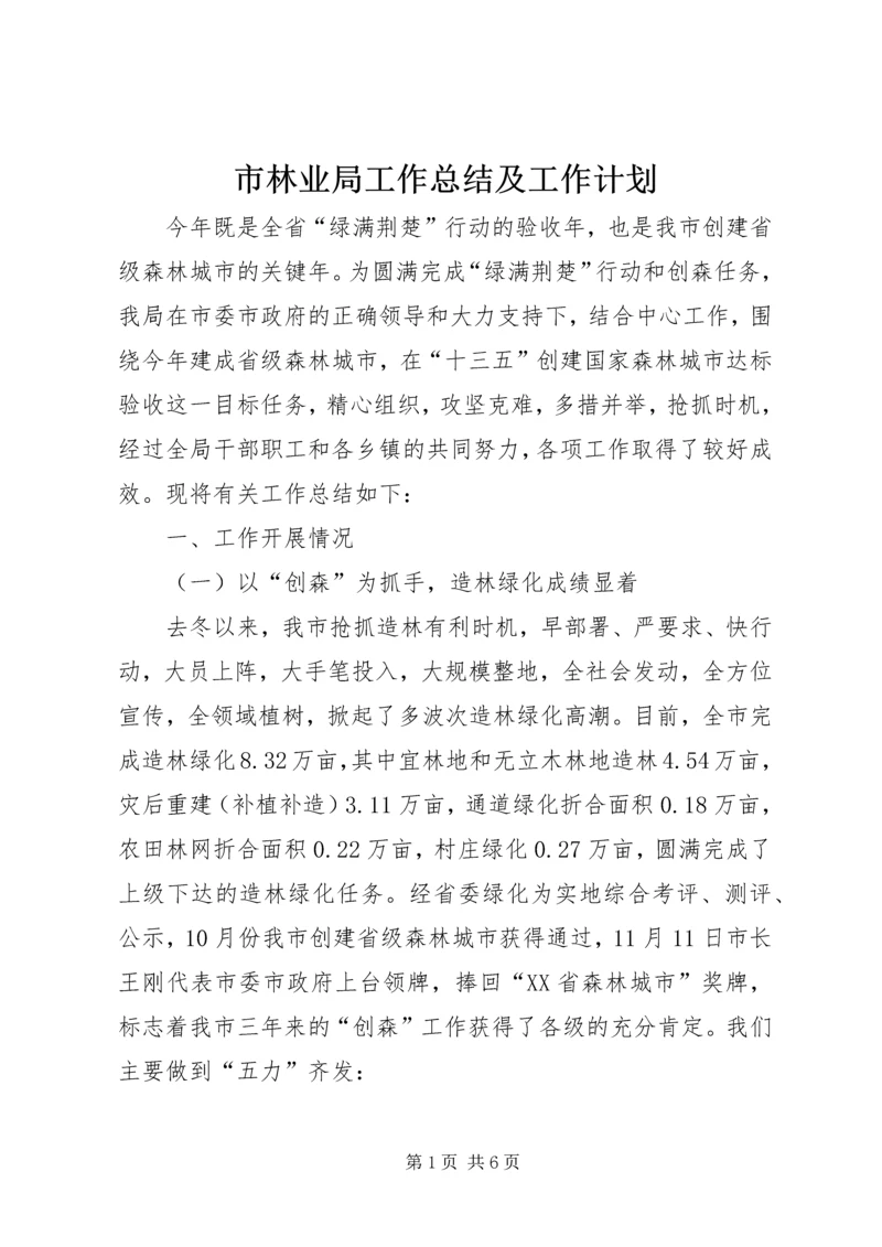 市林业局工作总结及工作计划 (3).docx