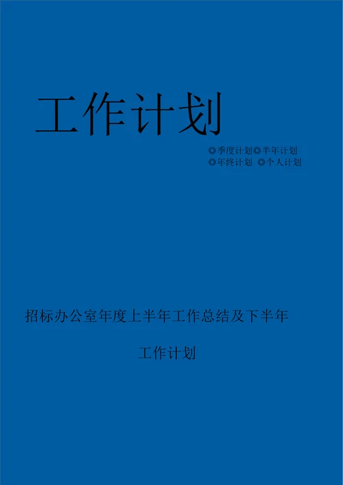 招标办公室年度上半年工作总结及下半年工作计划