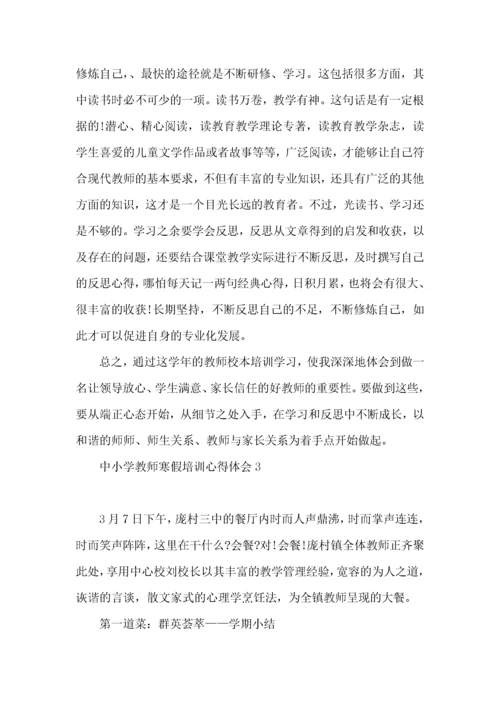 中小学教师寒假培训心得体会.docx