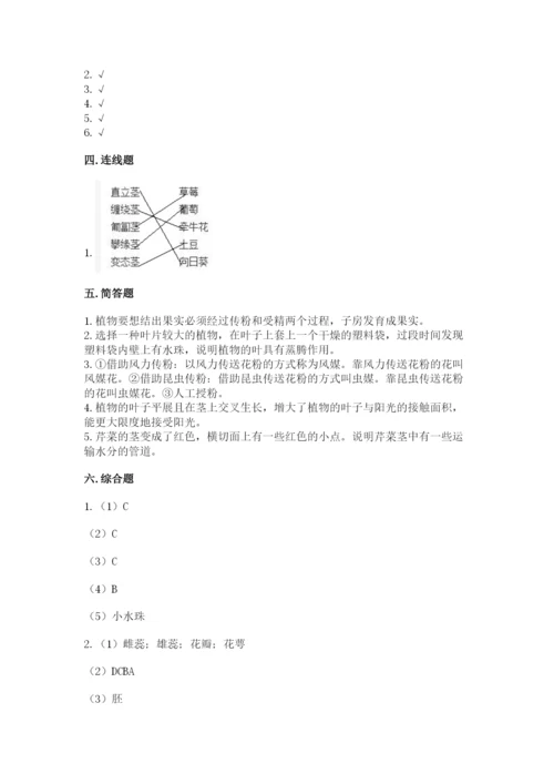 科学四年级下册第一单元植物的生长变化测试卷及完整答案【考点梳理】.docx