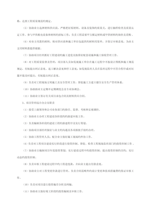 专项项目管理实施专题方案.docx