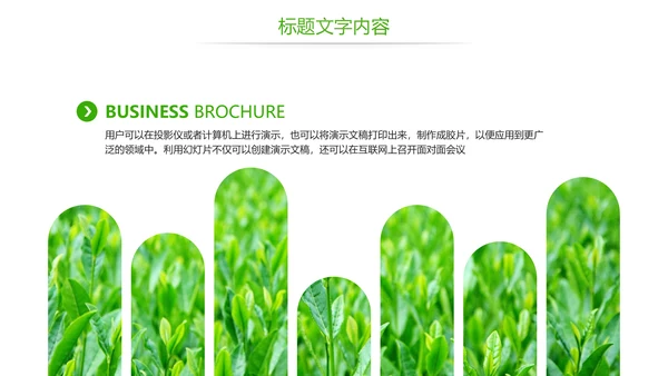 唯美绿色茶园茶文化品茶论道PPT模板