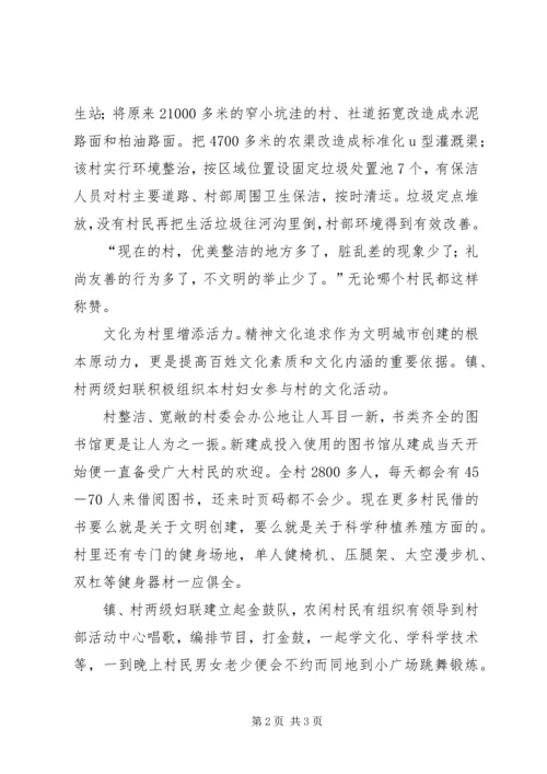 乡镇妇联开展“清洁之家”创建活动情况汇报.docx