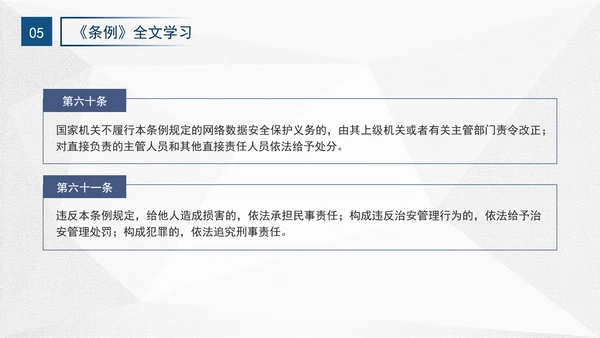 2024年网络数据安全管理条例解读学习PPT课件