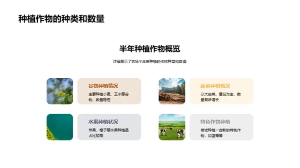 农场运营半年回顾