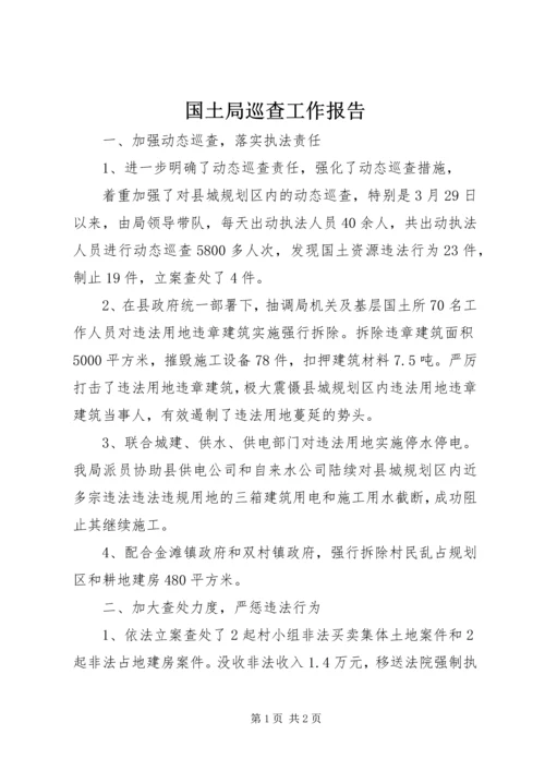 国土局巡查工作报告.docx