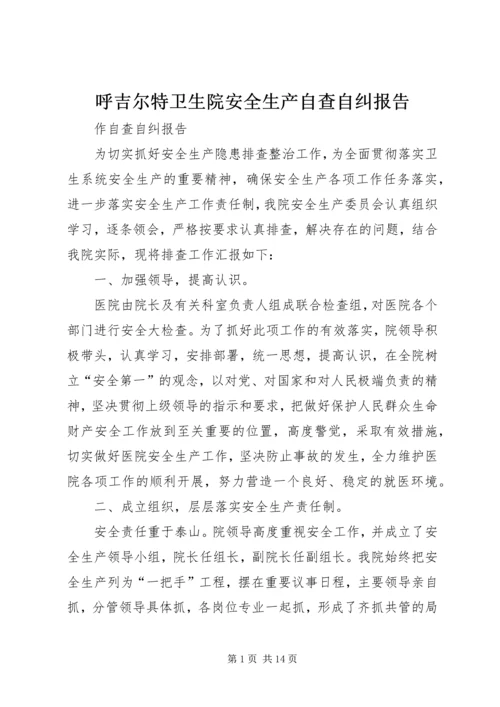 呼吉尔特卫生院安全生产自查自纠报告.docx