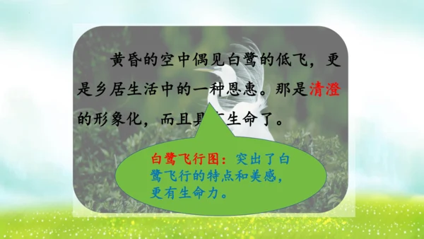 1《白鹭》（课件）