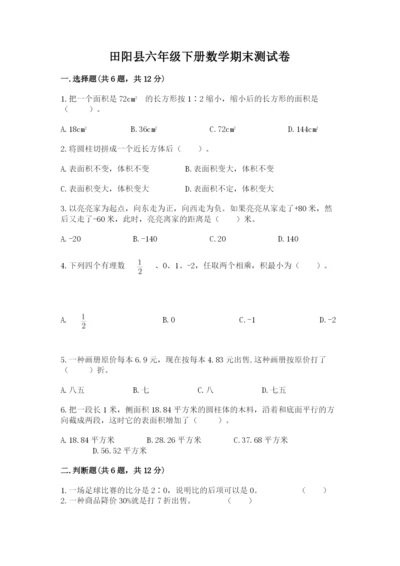 田阳县六年级下册数学期末测试卷及答案一套.docx