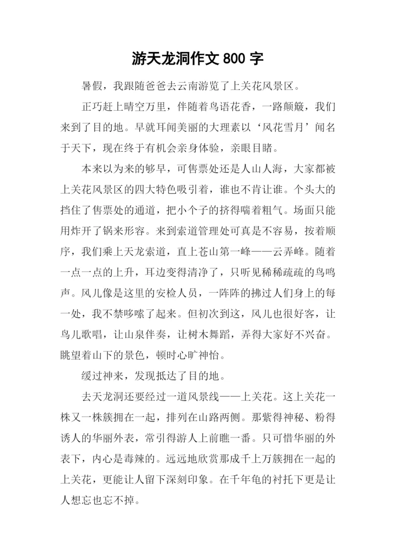 游天龙洞作文800字.docx