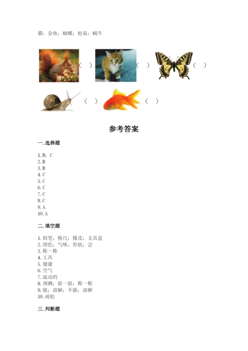 教科版一年级下册科学期末测试卷及参考答案（夺分金卷）.docx