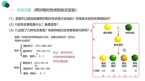 高中生物豌豆杂交实验PPT课件