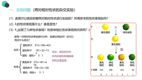 高中生物豌豆杂交实验PPT课件