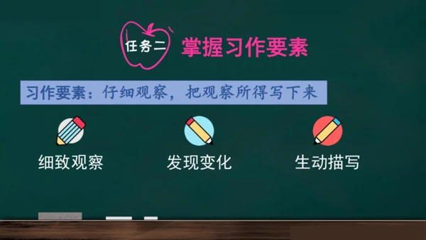统编版语文三年级上册 第五单元习作： 我们眼中的缤纷世界课件