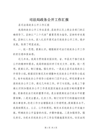 司法局政务公开工作汇报 (3).docx