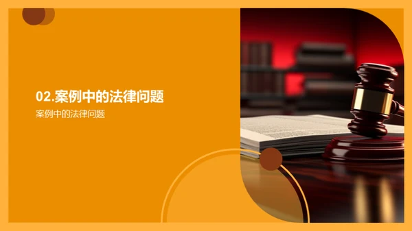 法学实践探析