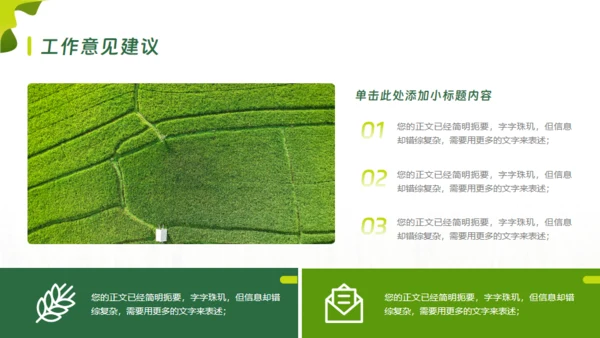 乡村振兴项目工作报告通用PPT模板