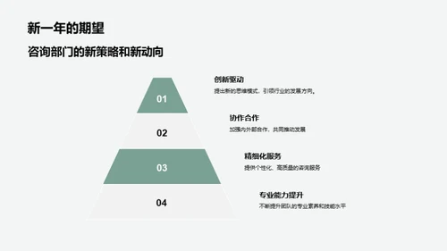 咨询业务新篇章