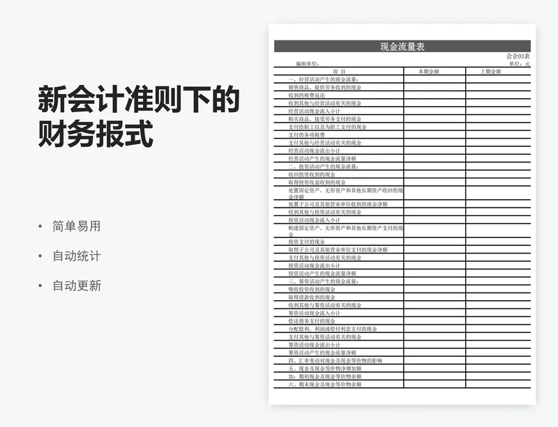 新会计准则下的财务报式