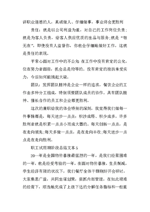 职工试用期阶段总结文本10篇