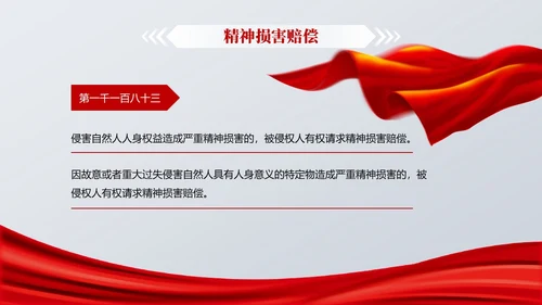 灰色简约风民法典解读之侵权责任编教育PPT课件