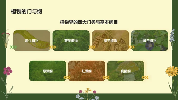 绿色手绘风植物学基础PPT模板