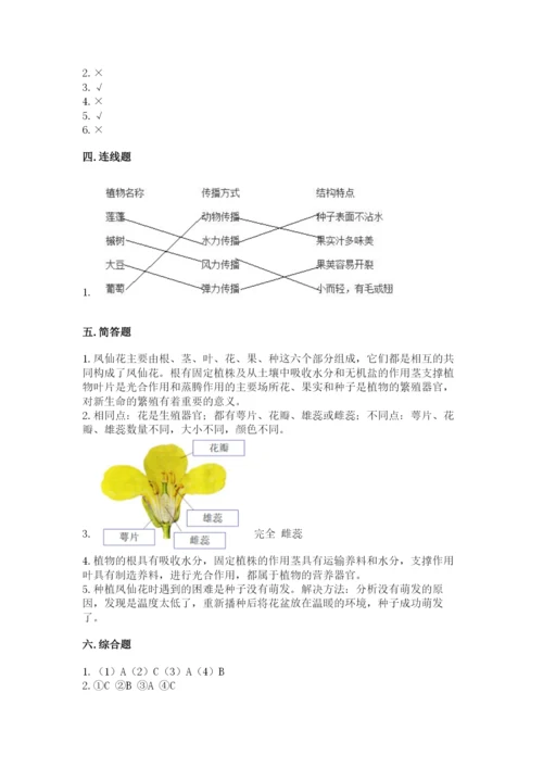 教科版四年级下册科学第一单元《植物的生长变化》测试卷（精华版）.docx