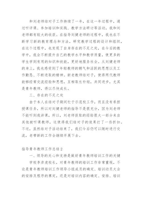 指导青年教师工作总结_2.docx