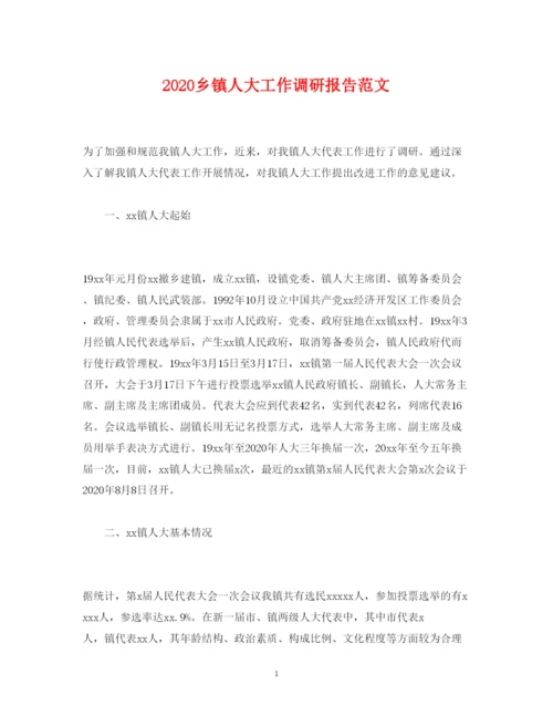 精编乡镇人大工作调研报告范文.docx