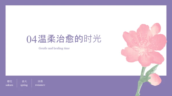 粉紫彩色半调风格樱花元素春日活动策划PPT模板