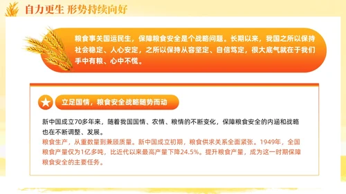 大学生形势与政策保障粮食安全的中国策ppt课件党建