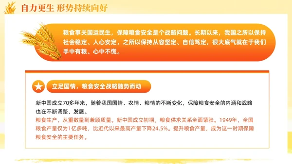 大学生形势与政策保障粮食安全的中国策ppt课件党建